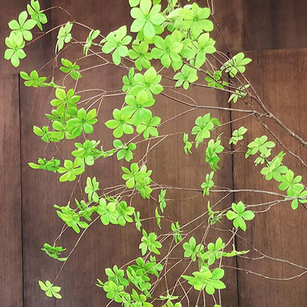 一套标识导向设计费是多少