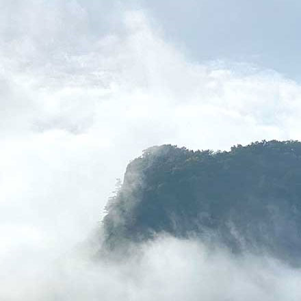 南粤古驿道遗存导视,专业公司(历史)岭南走廊,商贸与移民之路。